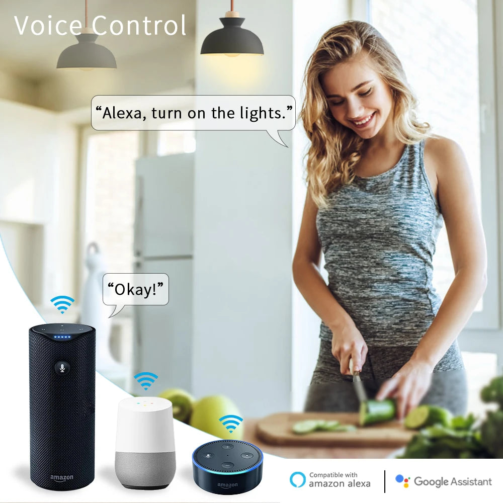 Tuya Smart Life ZigBee Switch 2 Gang Relay Module Lighting Google Home Assistant Alexa Echo App Remote Control Timer Zigbee2MQTT - Home Smart Direct