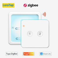 2 Gang ZigBee Remote