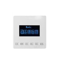 white2x20W