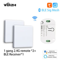 1Gang2 receiver1