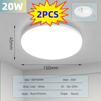 2PCS 20W White Lamp