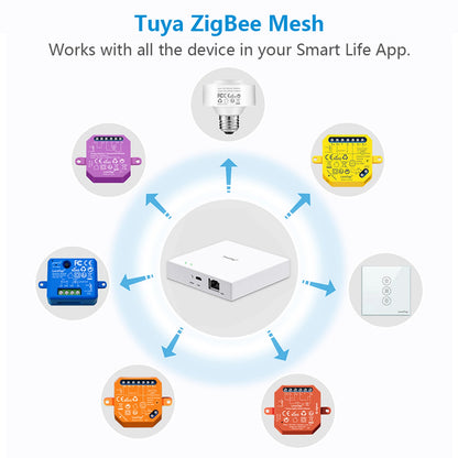 LoraTap ZigBee Shutter Switch Module For Electric Motorized Curtain Blind Tuya Smart Life Roller Alexa Google Home ZigBee2MQTT - Home Smart Direct