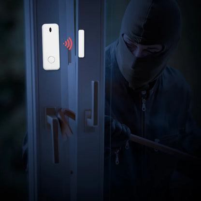 D10 Window Door Sensor Alarm 433MHz Wireless Magnet Sensor Detector Burglar An-theft For G20 G30 Home Security Alarm System - Home Smart Direct