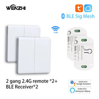 2Gang2 receiver2