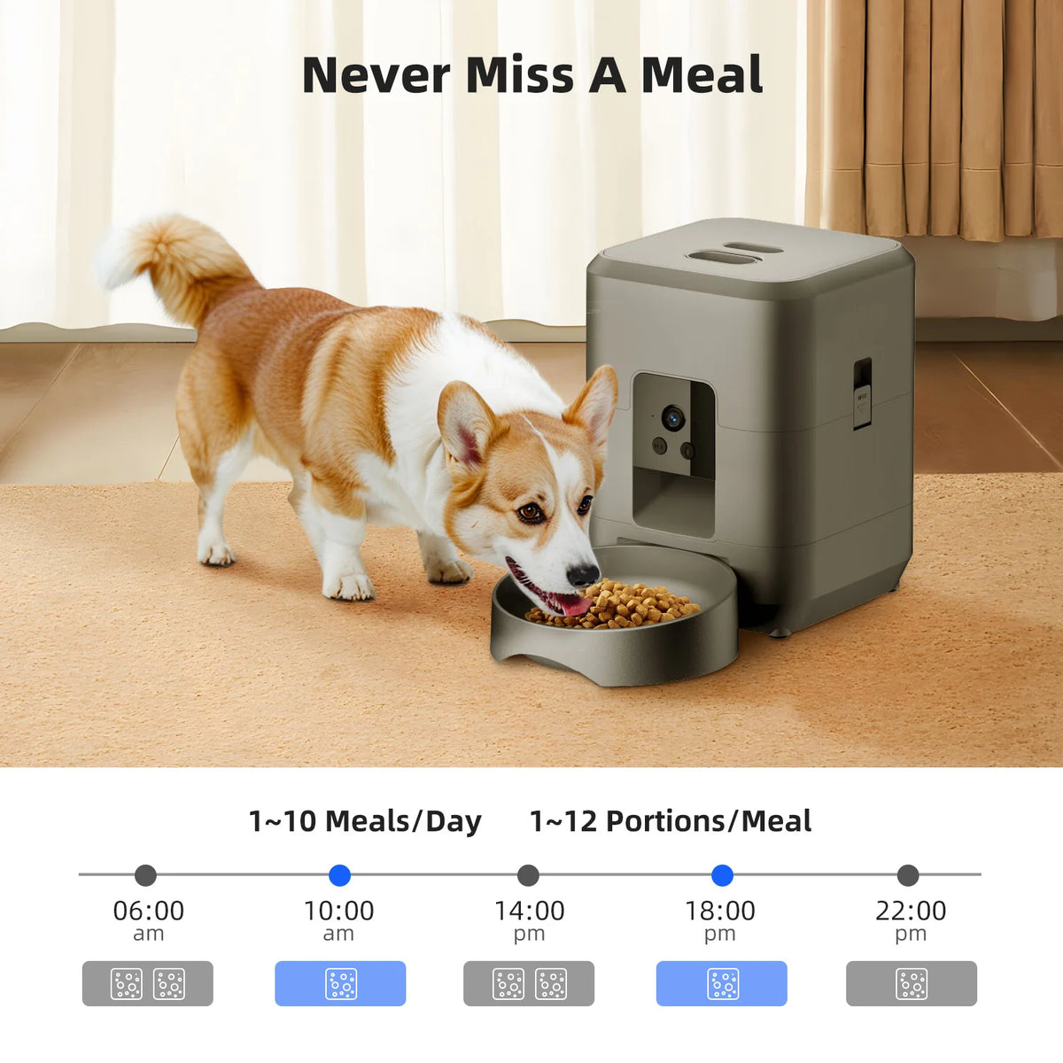 Automatic Cat Feeder with Camera and Night Vision