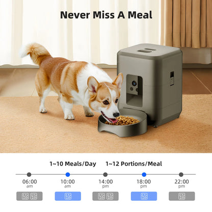 Automatic Cat Feeder with Camera and Night Vision