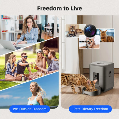 Automatic Cat Feeder with Camera and Night Vision