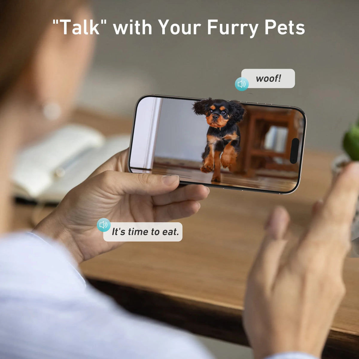 Automatic Cat Feeder with Camera and WiFi App Control