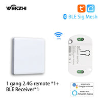 1Gang1 receiver1